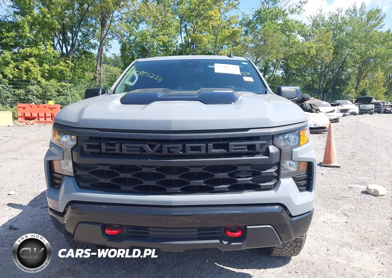2024 Chevrolet Silverado 1500 4Wd Short Bed Custom Trail Boss VIN:3GCUDCED9RG352506 - 11