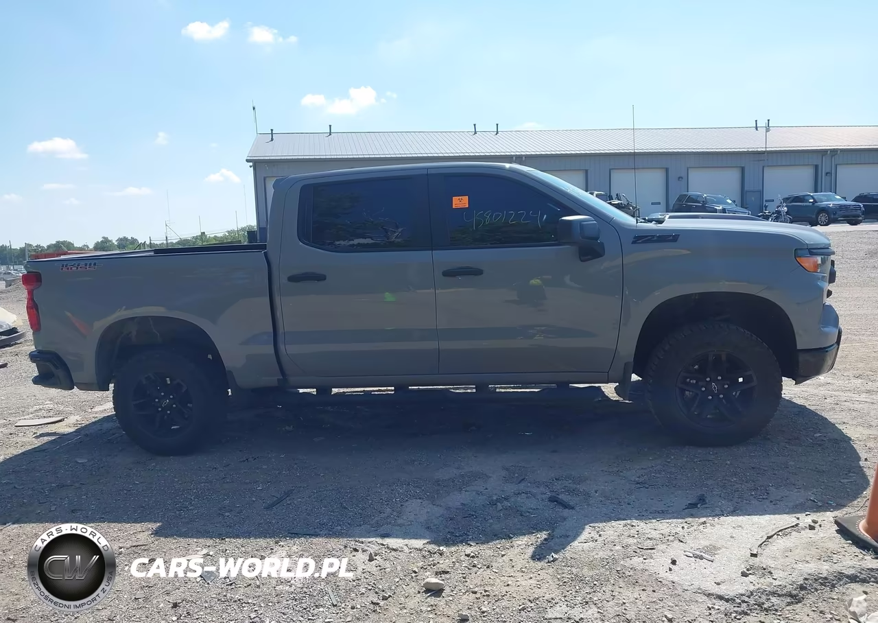 2024 Chevrolet Silverado 1500 4Wd Short Bed Custom Trail Boss VIN:3GCUDCED9RG352506 - 12