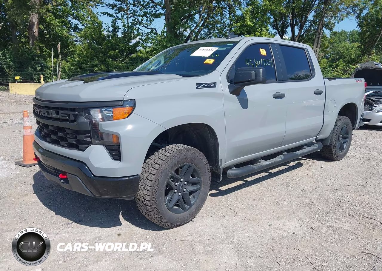2024 Chevrolet Silverado 1500 4Wd Short Bed Custom Trail Boss VIN:3GCUDCED9RG352506 - 2