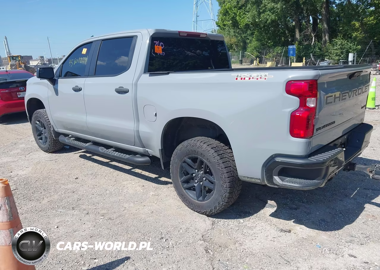 2024 Chevrolet Silverado 1500 4Wd Short Bed Custom Trail Boss VIN:3GCUDCED9RG352506 - 3