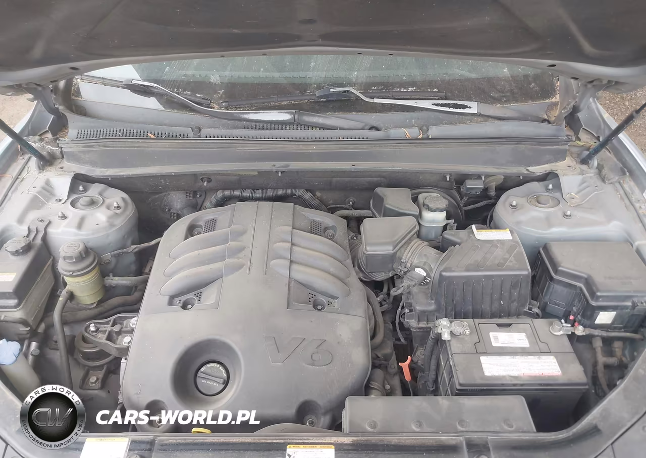 2008 Hyundai Santa Fe Limited-Se VIN:5NMSH13E68H195564 - 10