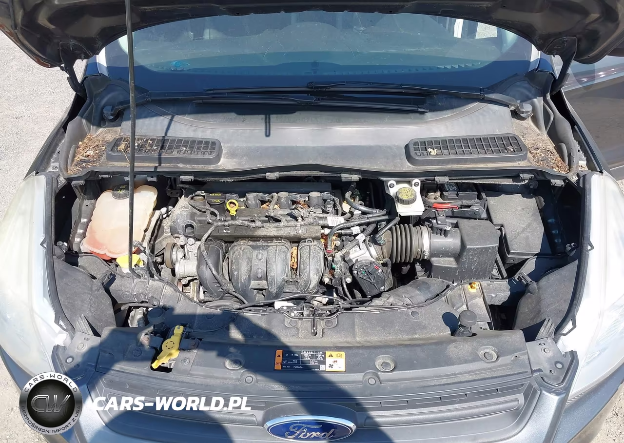 2015 Ford Escape S VIN:1FMCU0F79FUA39334 - 10