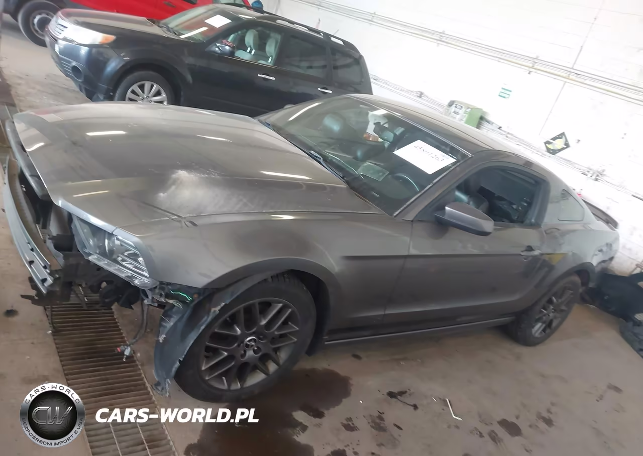 2013 Ford Mustang V6 Premium VIN:1ZVBP8AM0D5225092 - 14