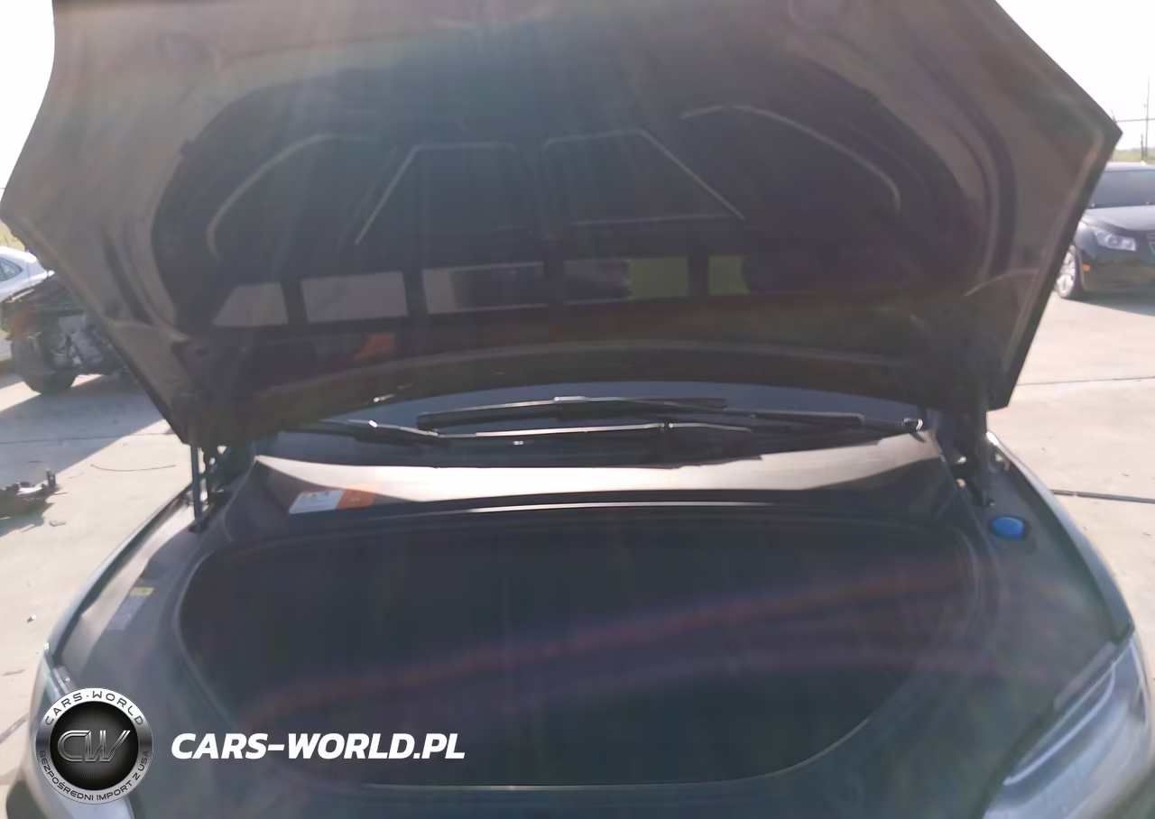 2017 Tesla Model X VIN:5YJXCDE20HF066584 - 10
