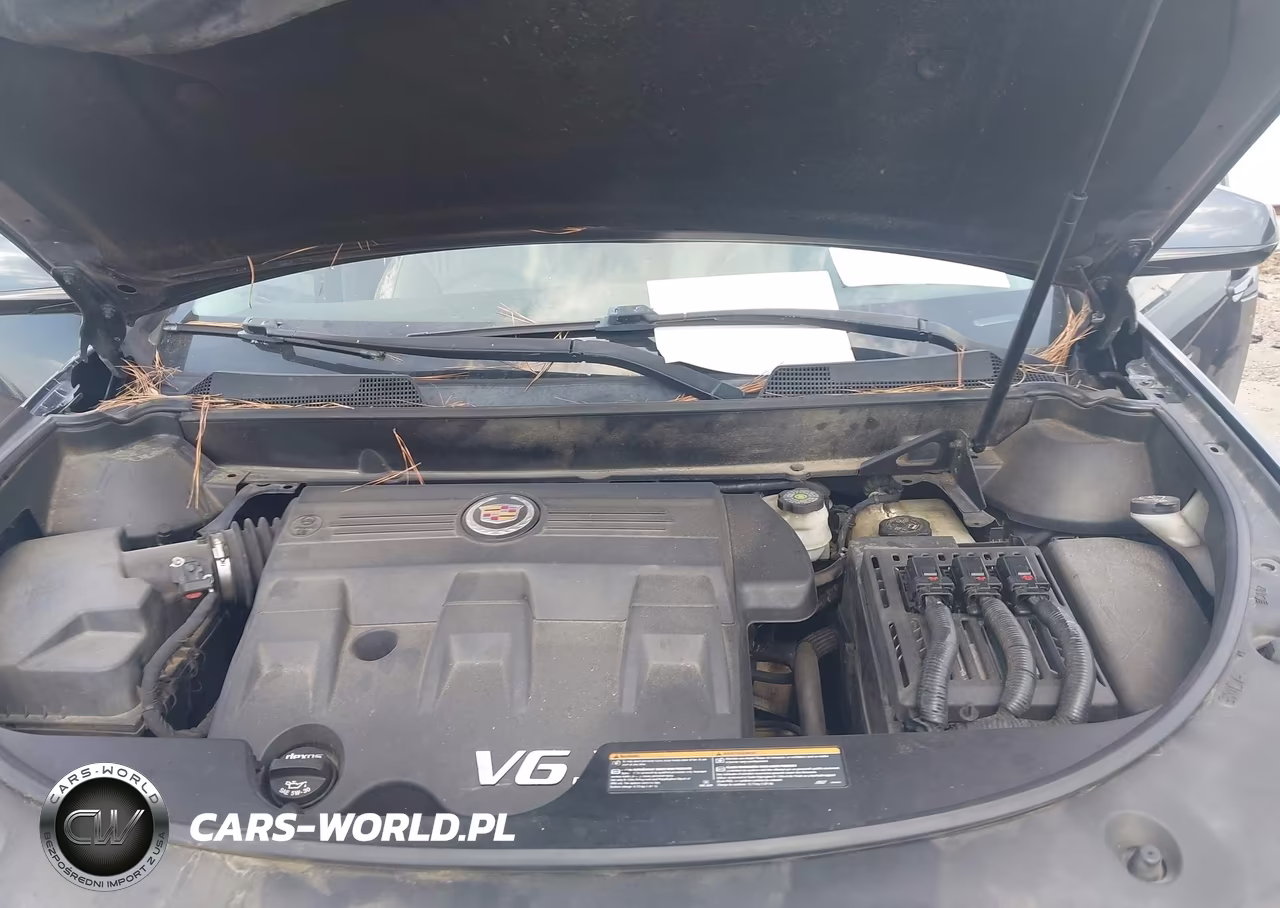 2016 Cadillac Srx Standard VIN:3GYFNAE31GS587231 - 10