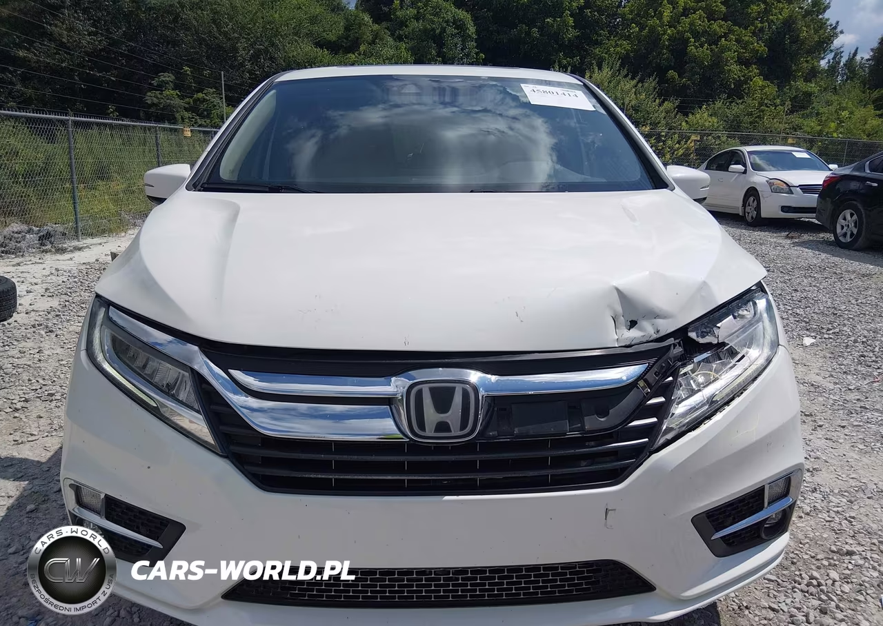 2019 Honda Odyssey Elite VIN:5FNRL6H96KB053181 - 12