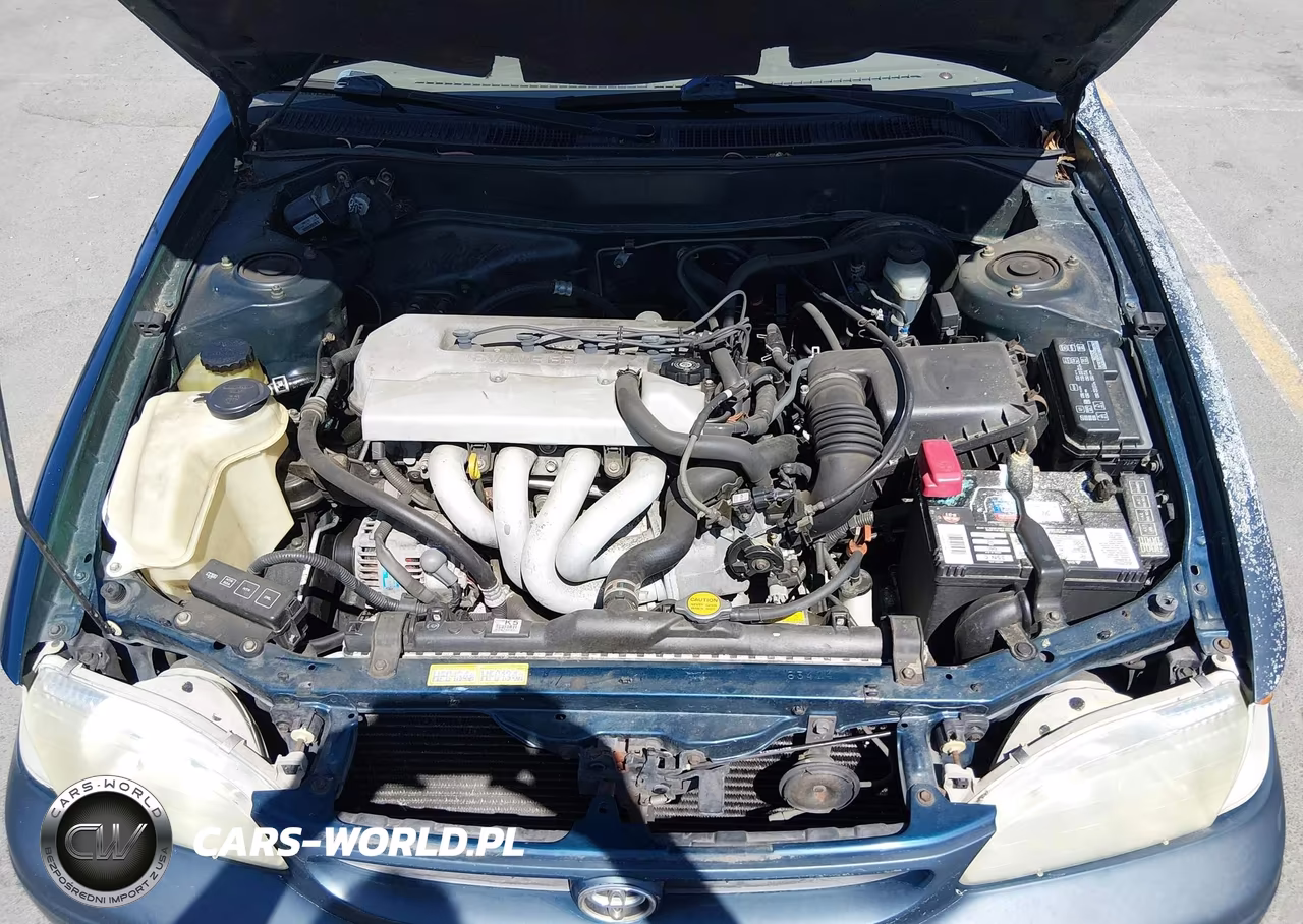 1998 Toyota Corolla Le VIN:1NXBR18E0WZ139370 - 10