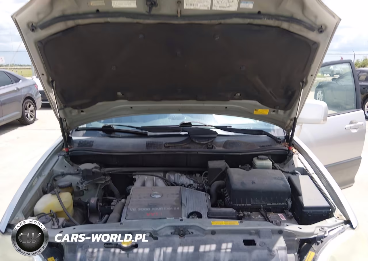 2002 Lexus Rx 300 VIN:JTJHF10U320252500 - 10