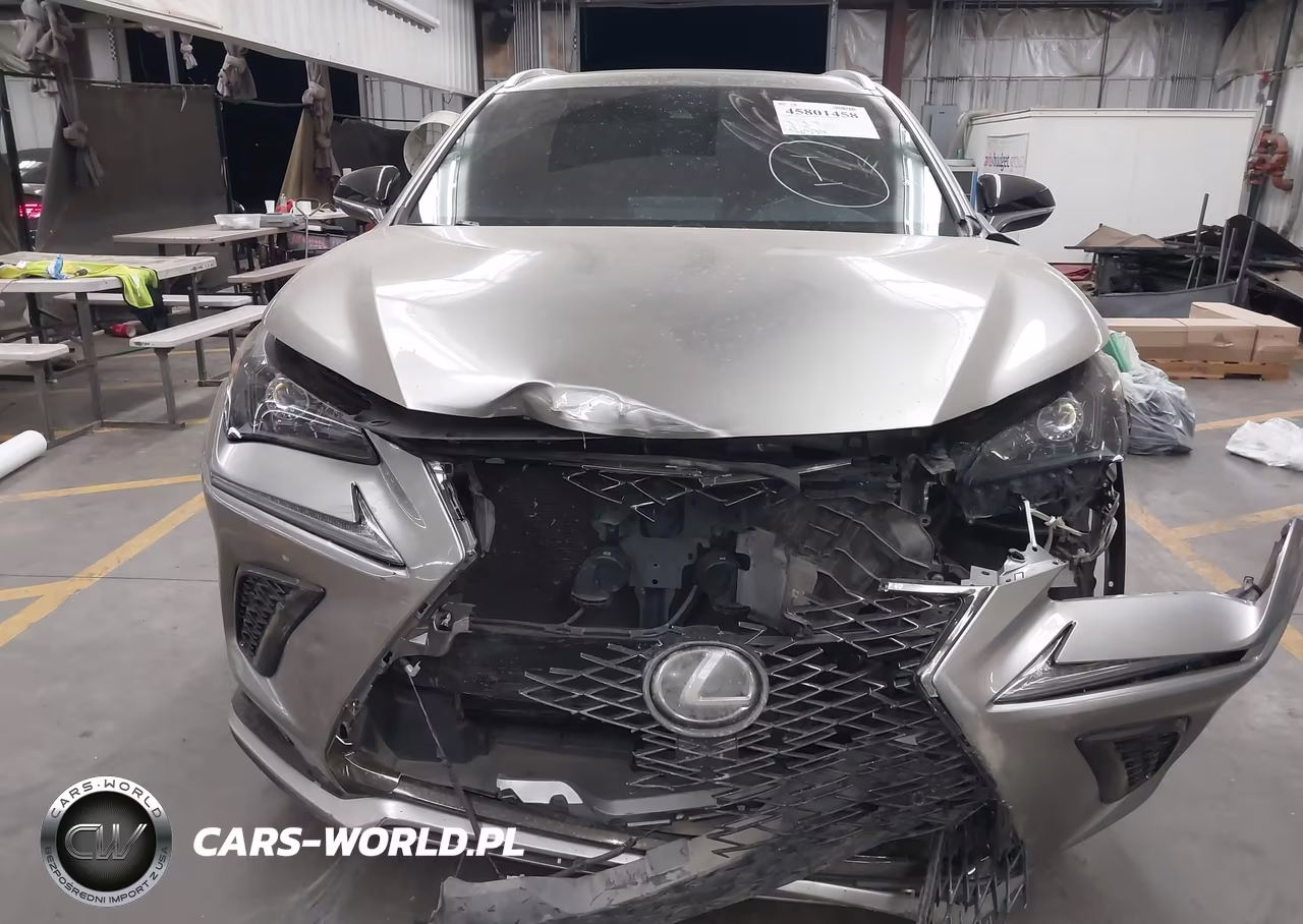 2021 Lexus Nx 300 F Sport VIN:JTJSARBZ9M2183069 - 12