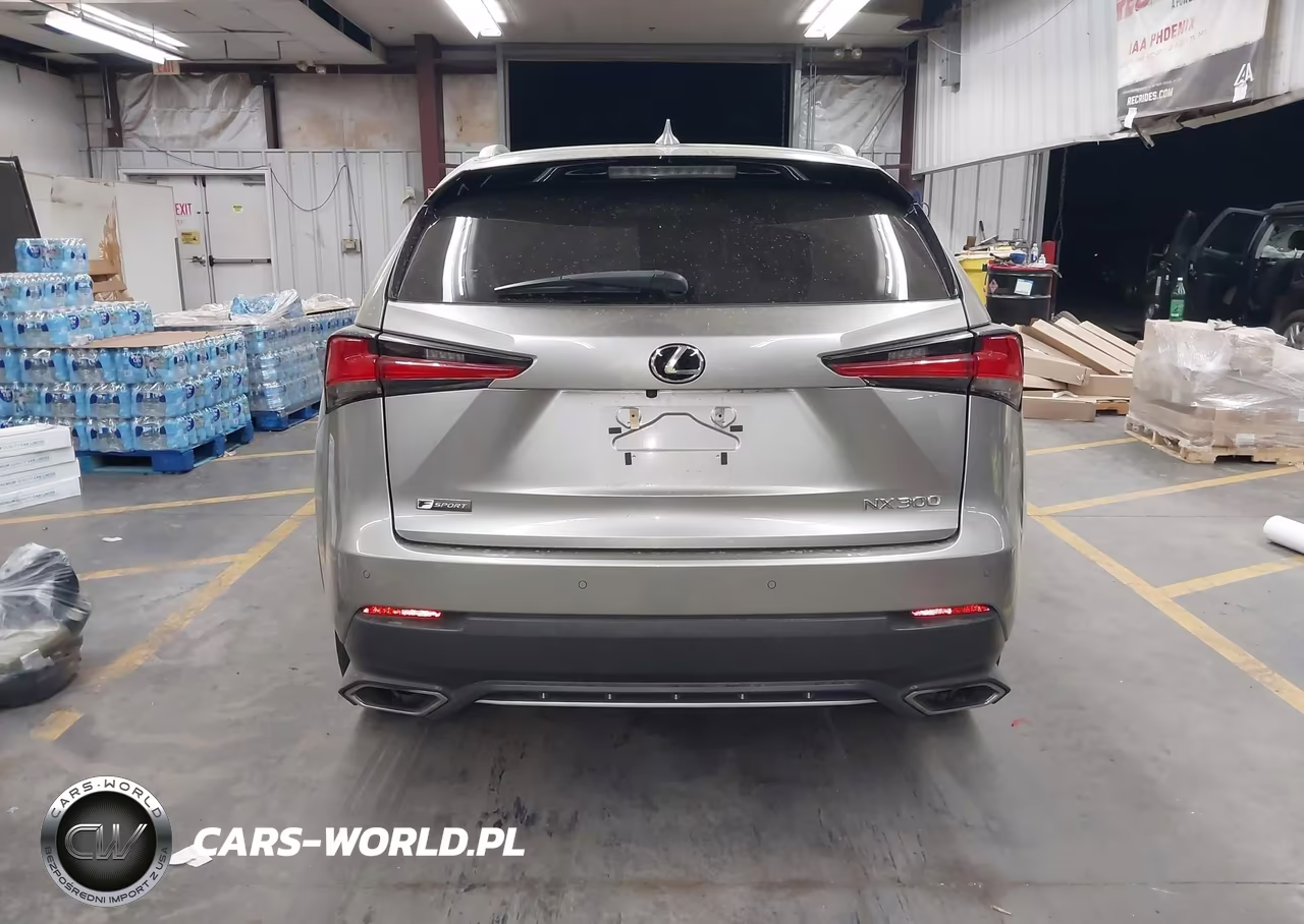 2021 Lexus Nx 300 F Sport VIN:JTJSARBZ9M2183069 - 16