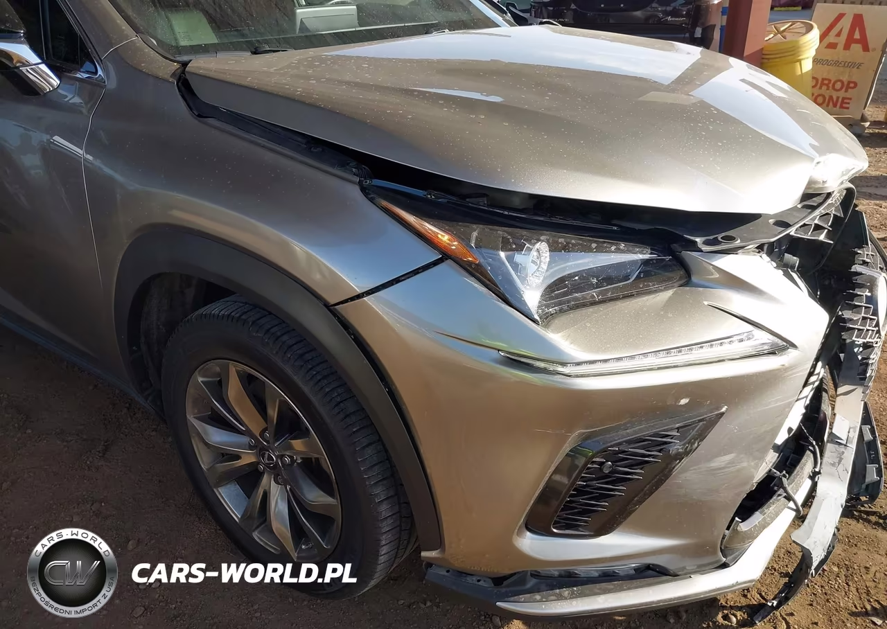 2021 Lexus Nx 300 F Sport VIN:JTJSARBZ9M2183069 - 19