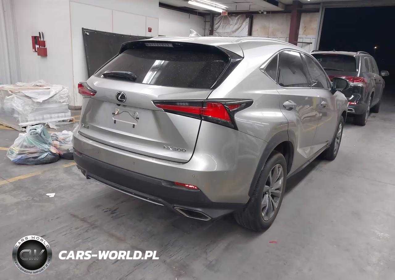 2021 Lexus Nx 300 F Sport VIN:JTJSARBZ9M2183069 - 4