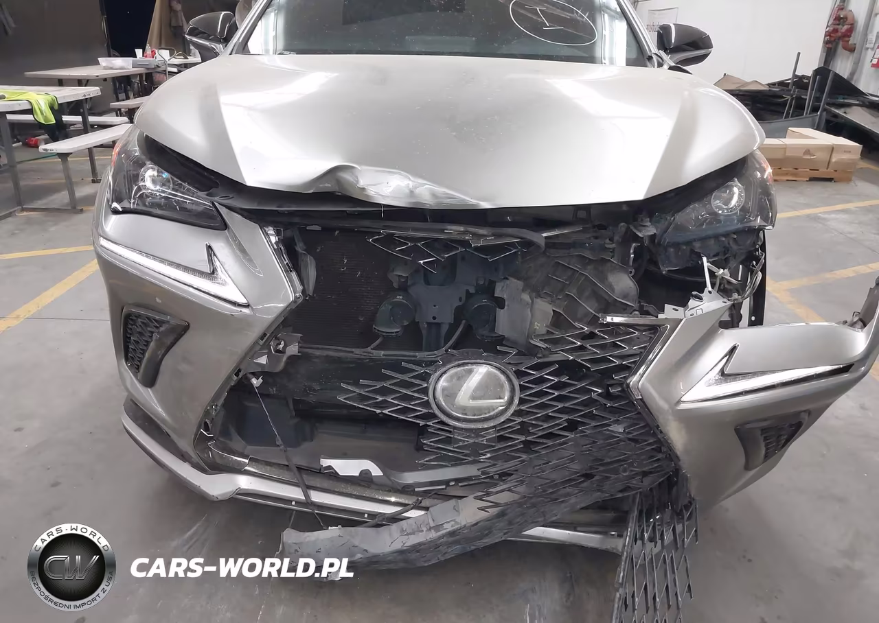 2021 Lexus Nx 300 F Sport VIN:JTJSARBZ9M2183069 - 6