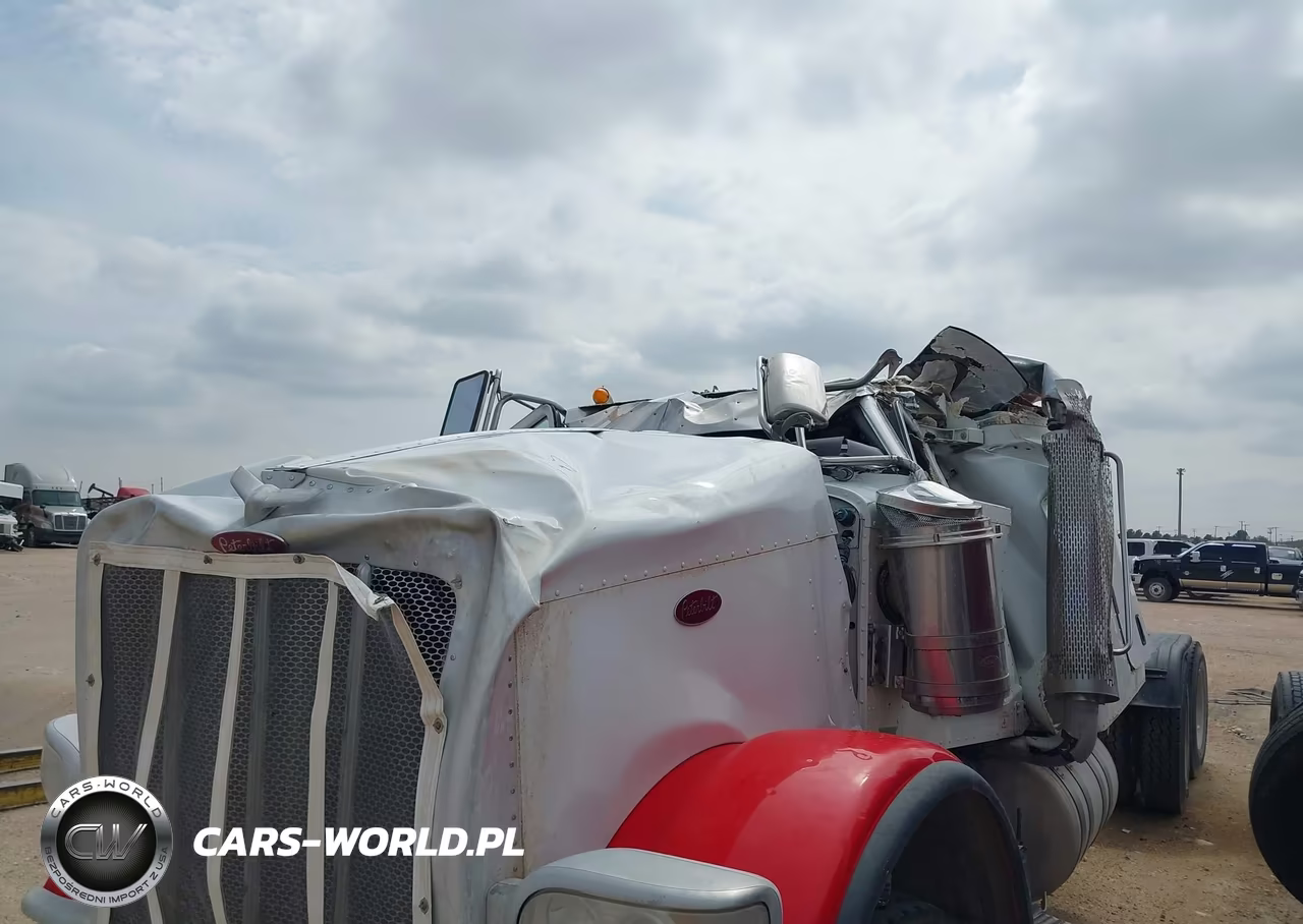 2019 Peterbilt 389 VIN:1XPXD49XXKD612209 - 10