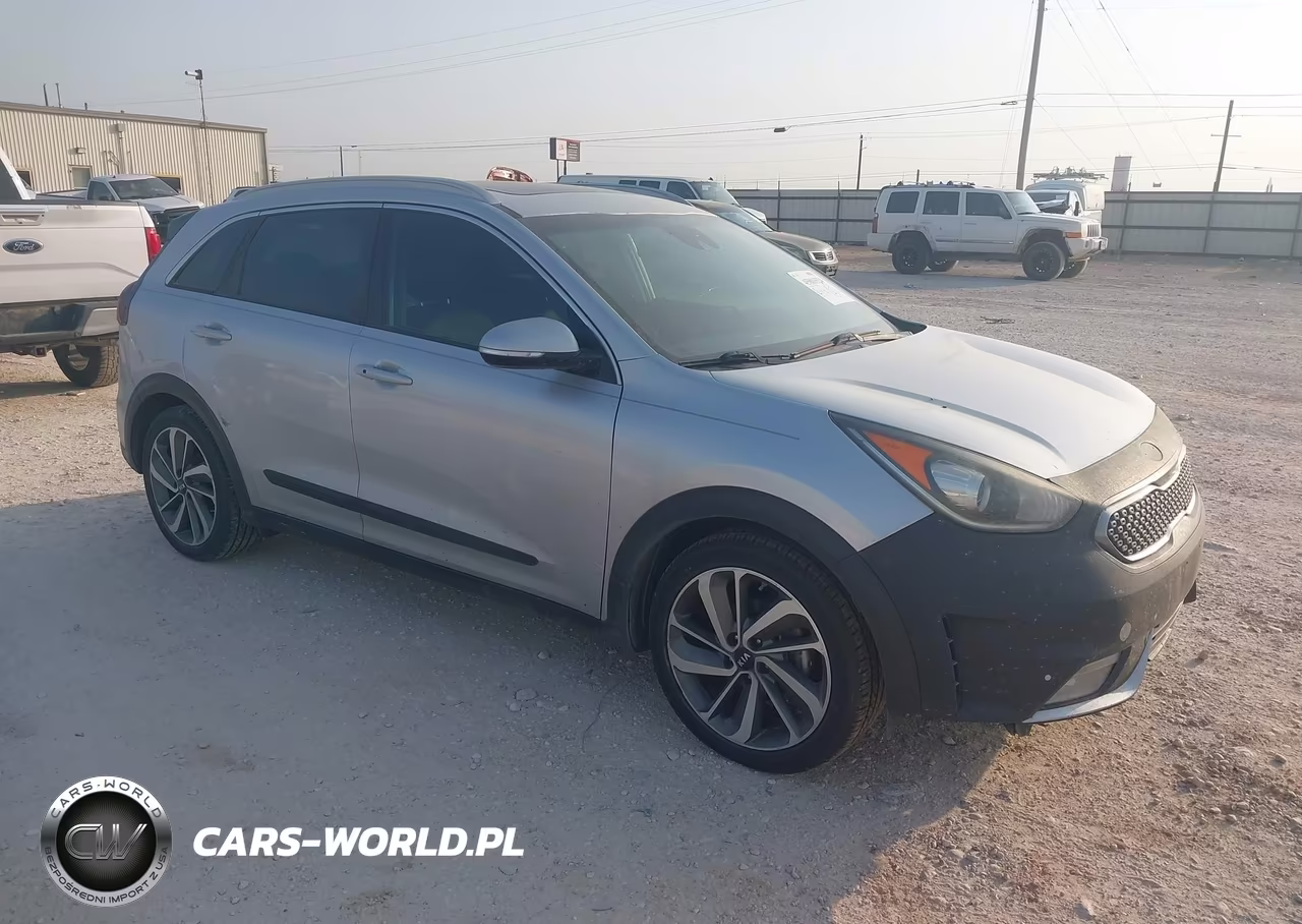 2019 Kia Niro Touring VIN:KNDCE3LC5K5216003 - 1