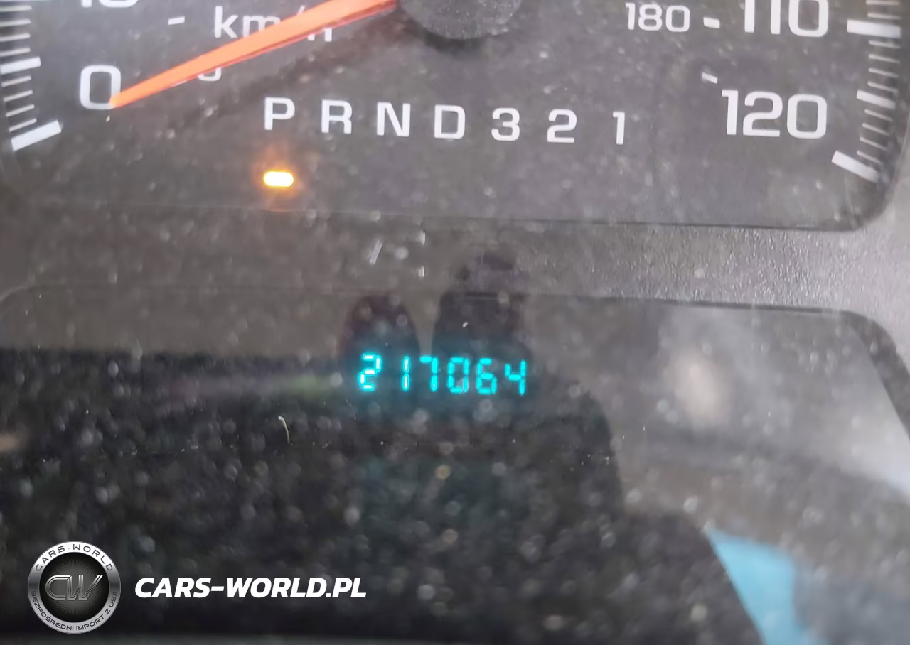 2008 Chevrolet Trailblazer Fleet VIN:1GNDT13S382256717 - 7