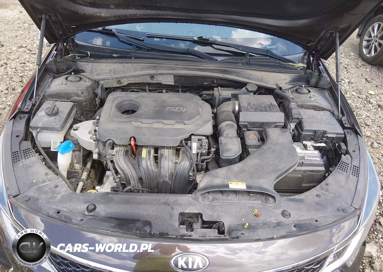 2018 Kia Optima Lx VIN:KNAGT4L39J5233993 - 10