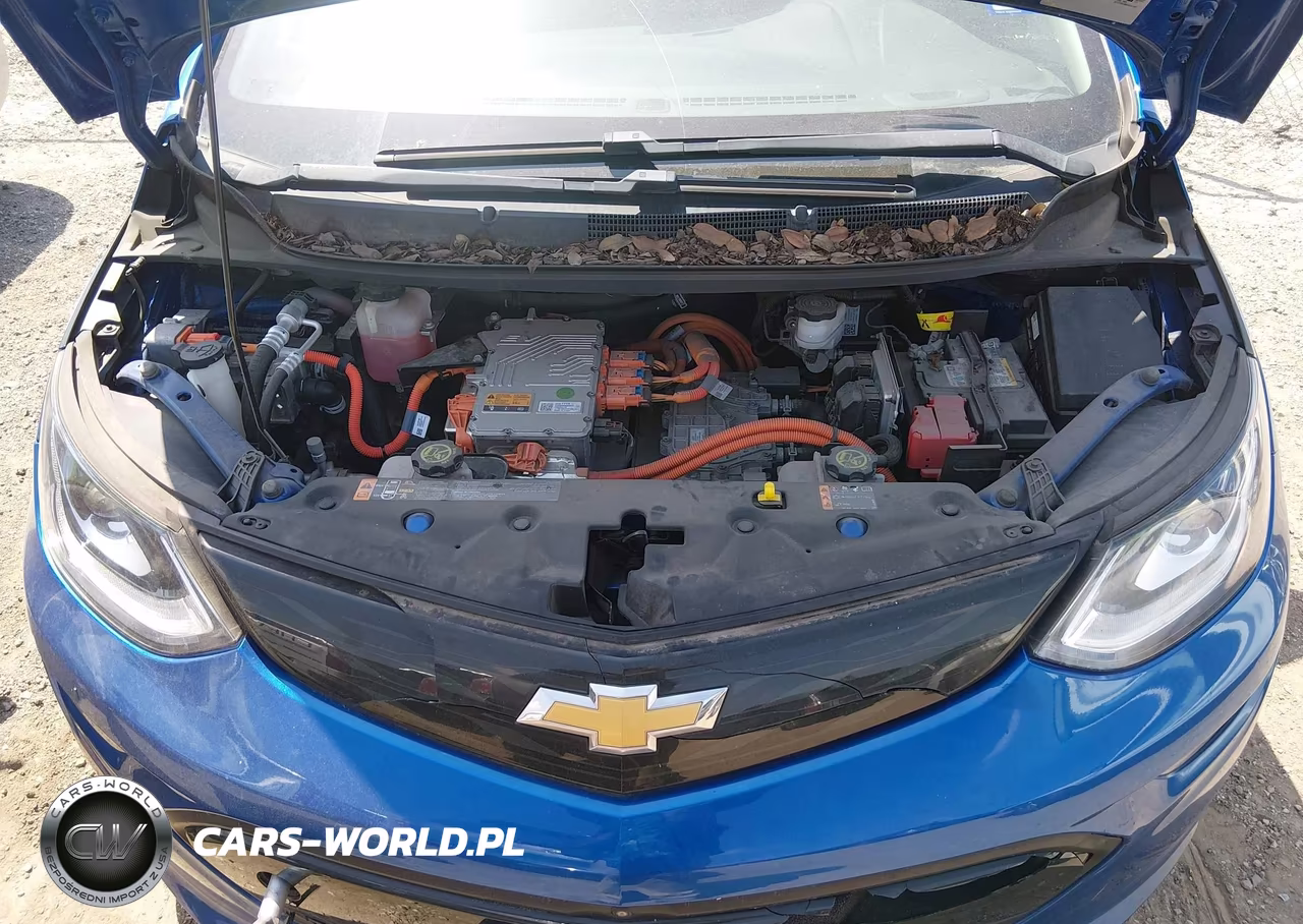 2019 Chevrolet Bolt Ev Premier VIN:1G1FZ6S06K4107347 - 10