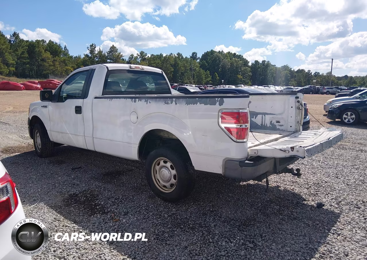 2010 Ford F-150 Stx-Xl-Xlt VIN:1FTMF1CW1AKA89606 - 3