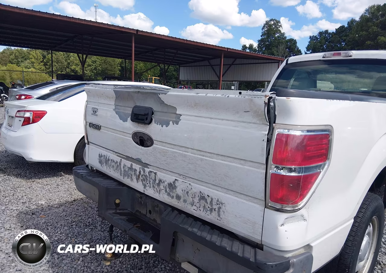 2010 Ford F-150 Stx-Xl-Xlt VIN:1FTMF1CW1AKA89606 - 6