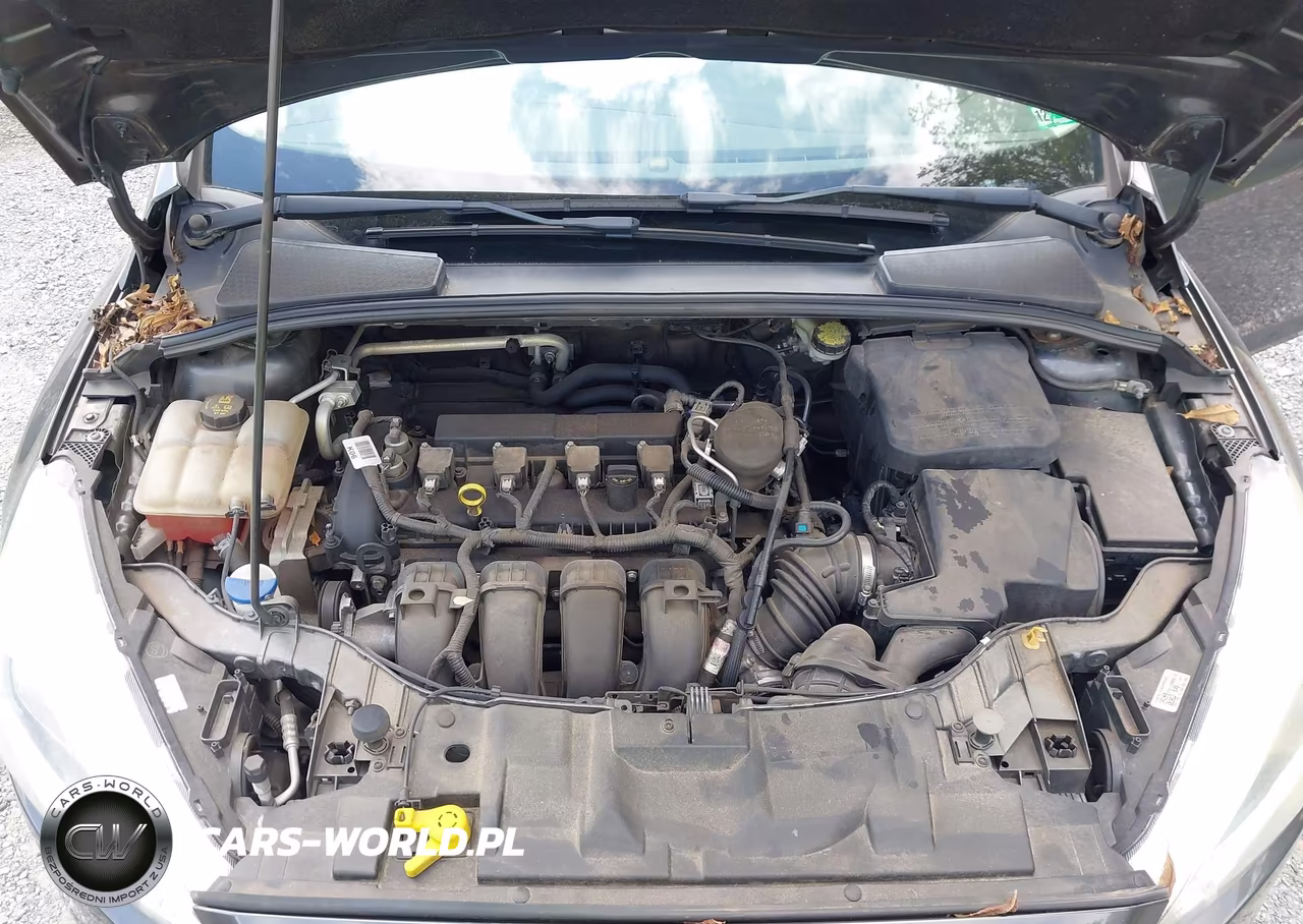 2015 Ford Focus Se VIN:1FADP3K21FL238417 - 10