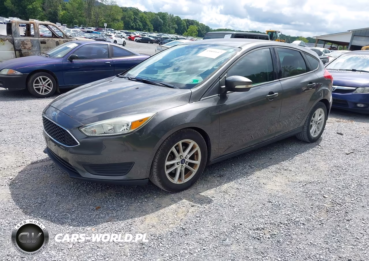 2015 Ford Focus Se VIN:1FADP3K21FL238417 - 2