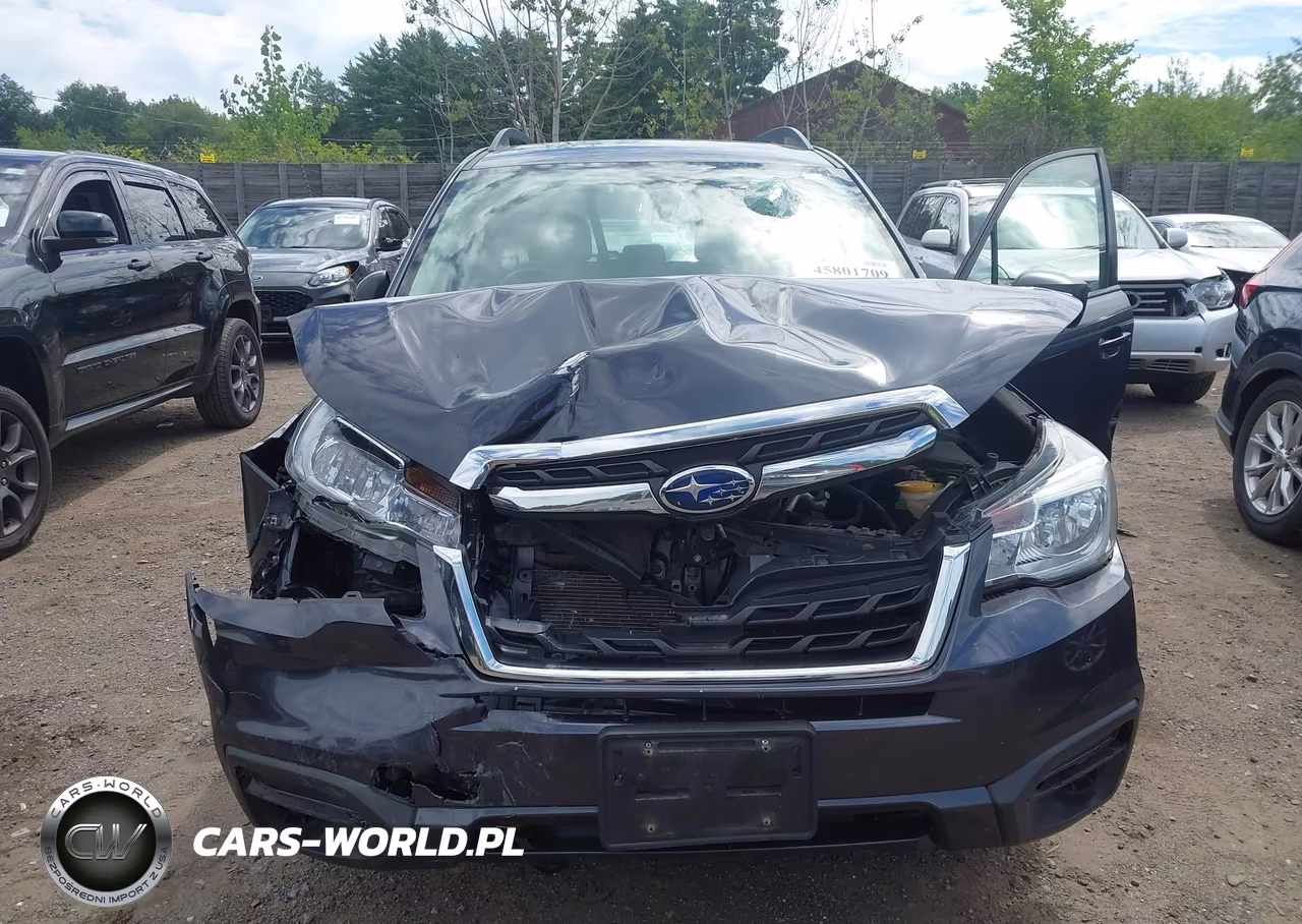 2018 Subaru Forester 2.5I VIN:JF2SJABC7JH402640 - 6