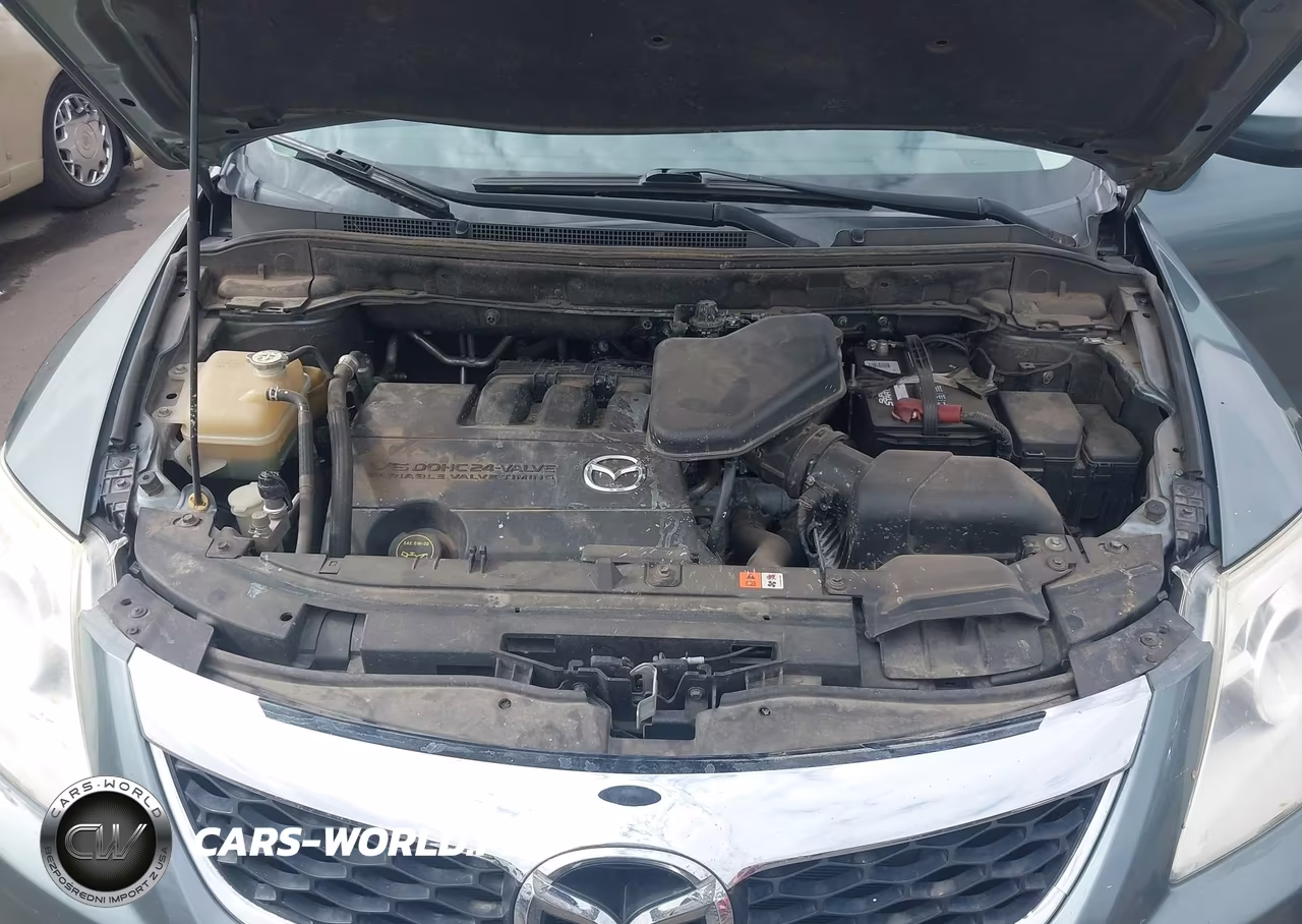 2010 Mazda Cx-9 Sport VIN:JM3TB3MA5A0209755 - 10