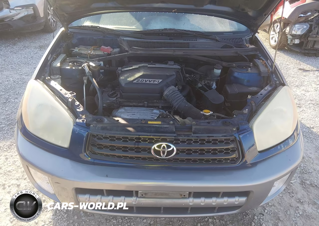 2002 Toyota Rav4 VIN:JTEGH20V520077802 - 10