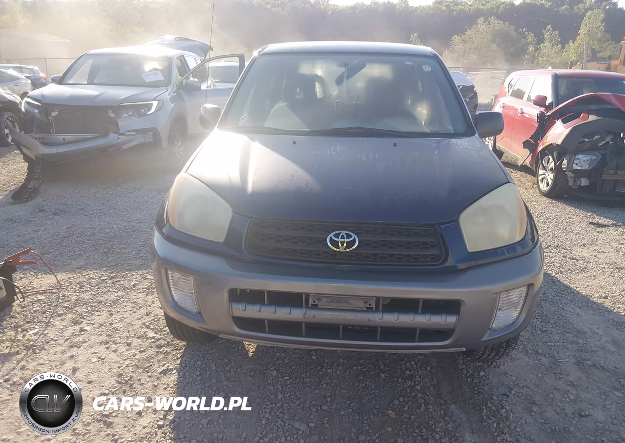2002 Toyota Rav4 VIN:JTEGH20V520077802 - 6