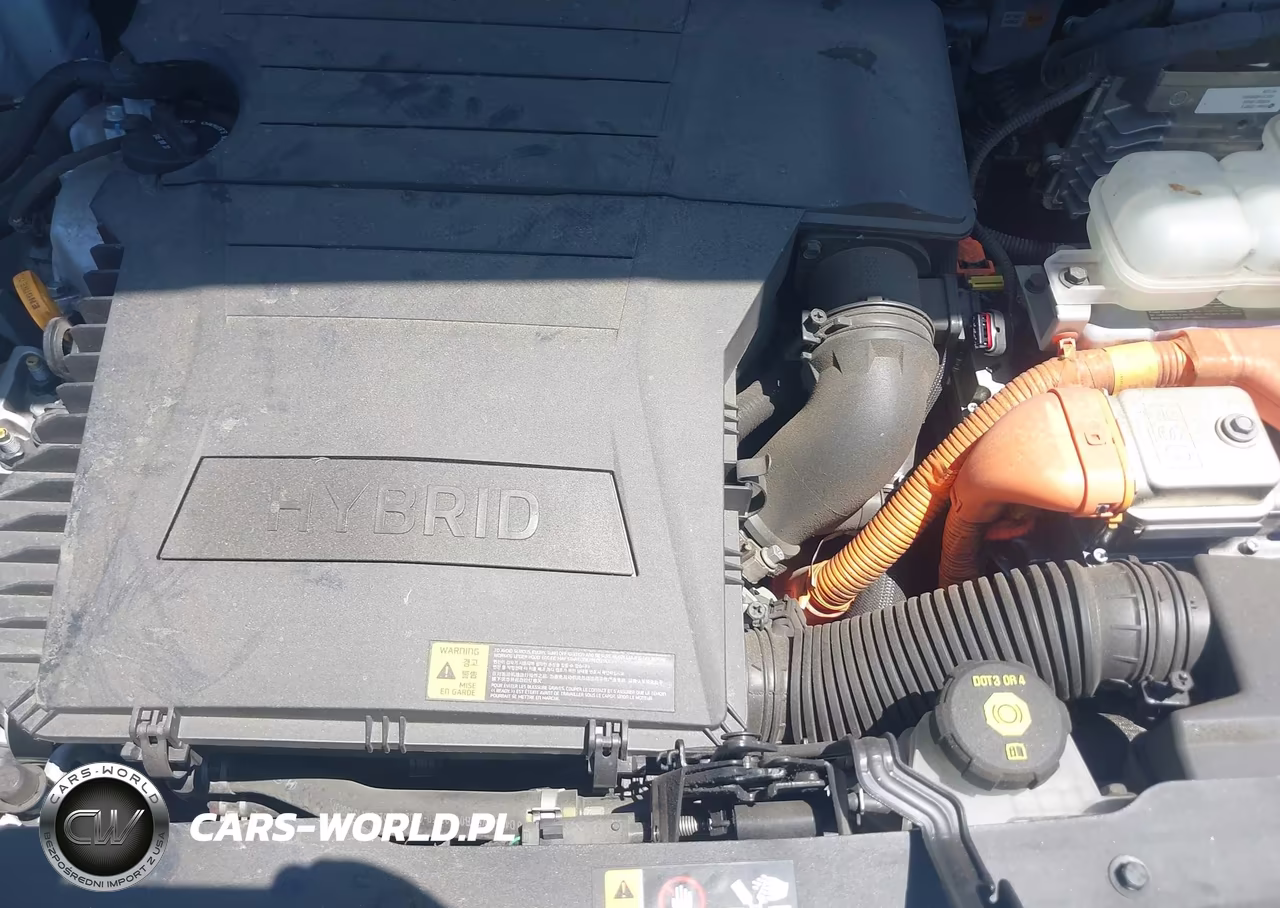 2019 Kia Niro Lx VIN:KNDCB3LC6K5267003 - 10