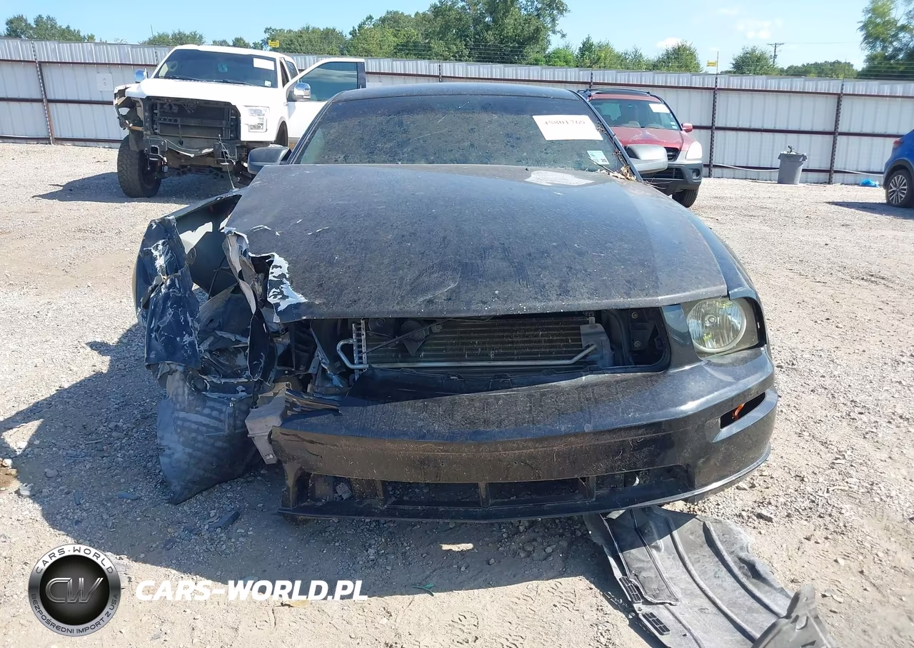 2006 Ford Mustang Gt VIN:1ZVFT82H365251607 - 12