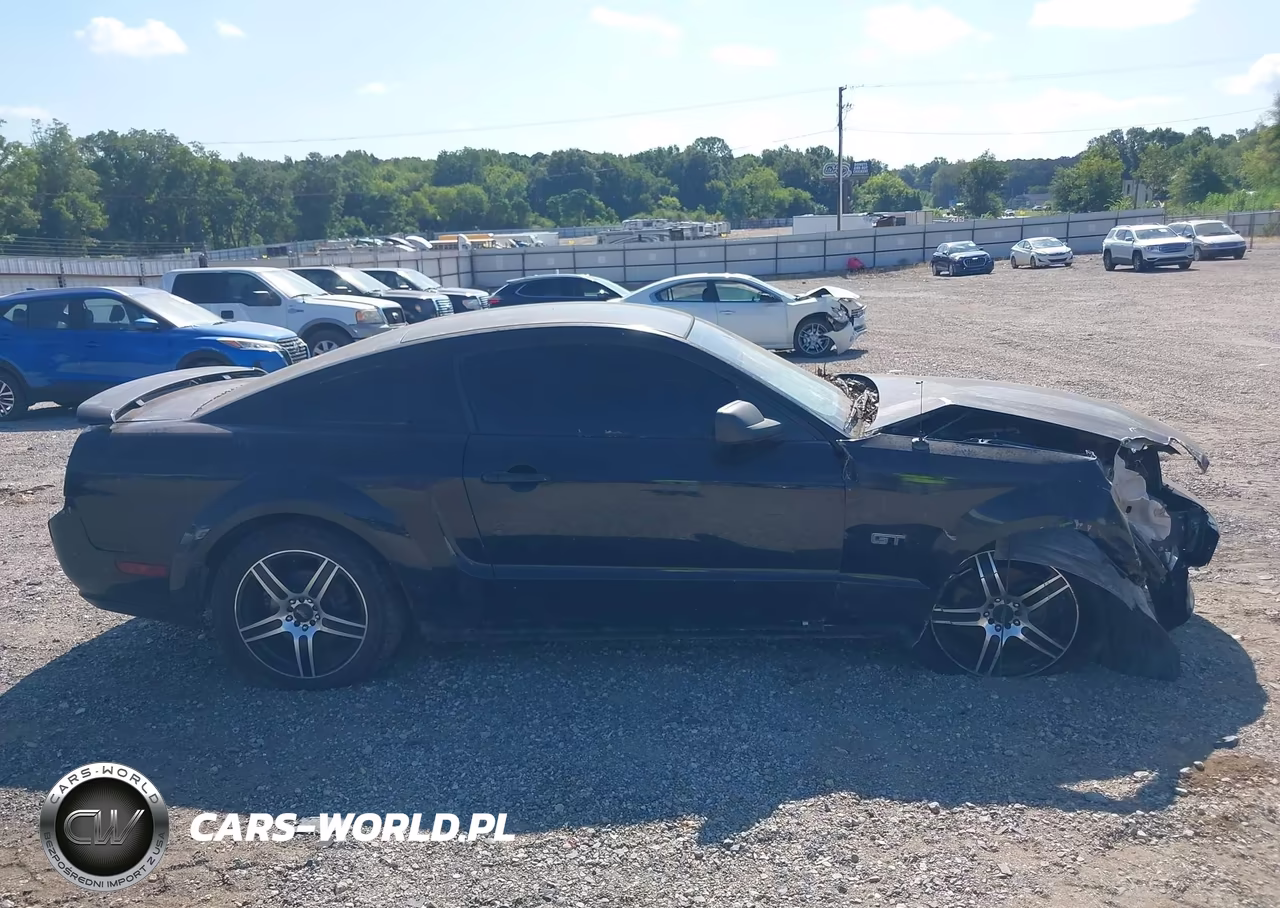 2006 Ford Mustang Gt VIN:1ZVFT82H365251607 - 13