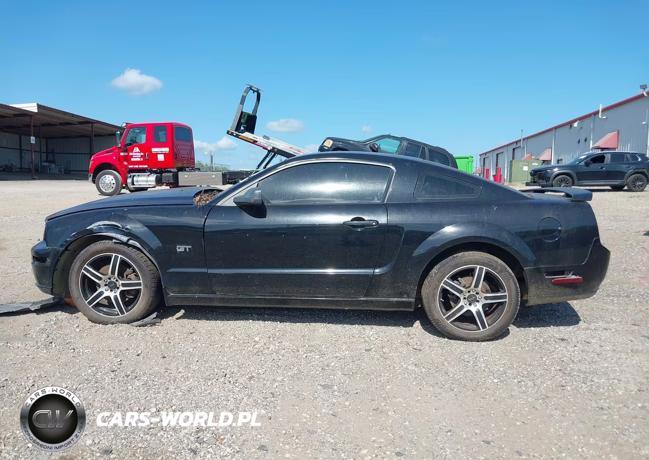 2006 Ford Mustang Gt VIN:1ZVFT82H365251607 - 14