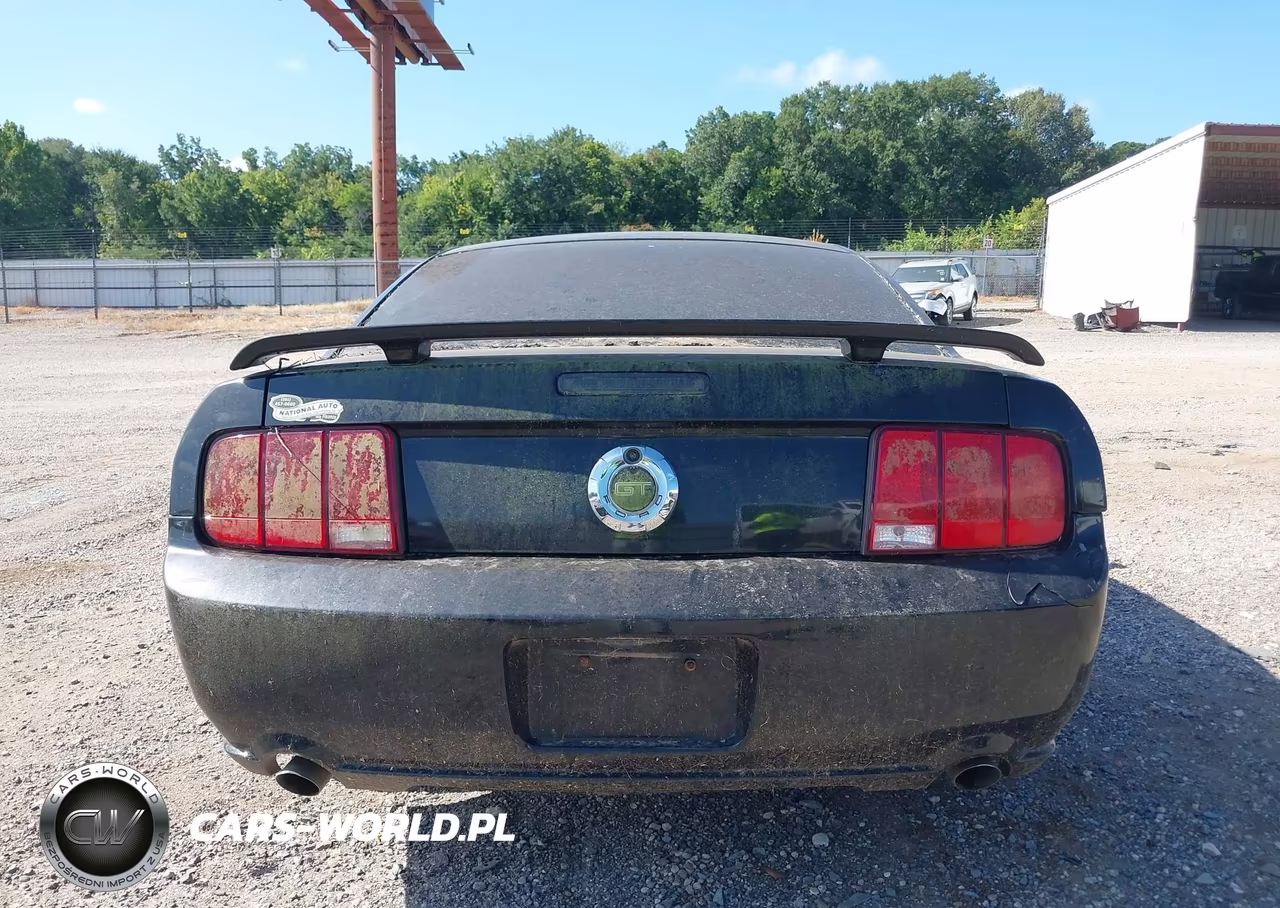 2006 Ford Mustang Gt VIN:1ZVFT82H365251607 - 16
