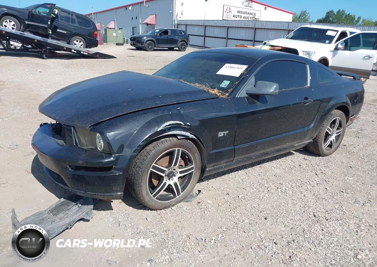2006 Ford Mustang Gt VIN:1ZVFT82H365251607 - 2