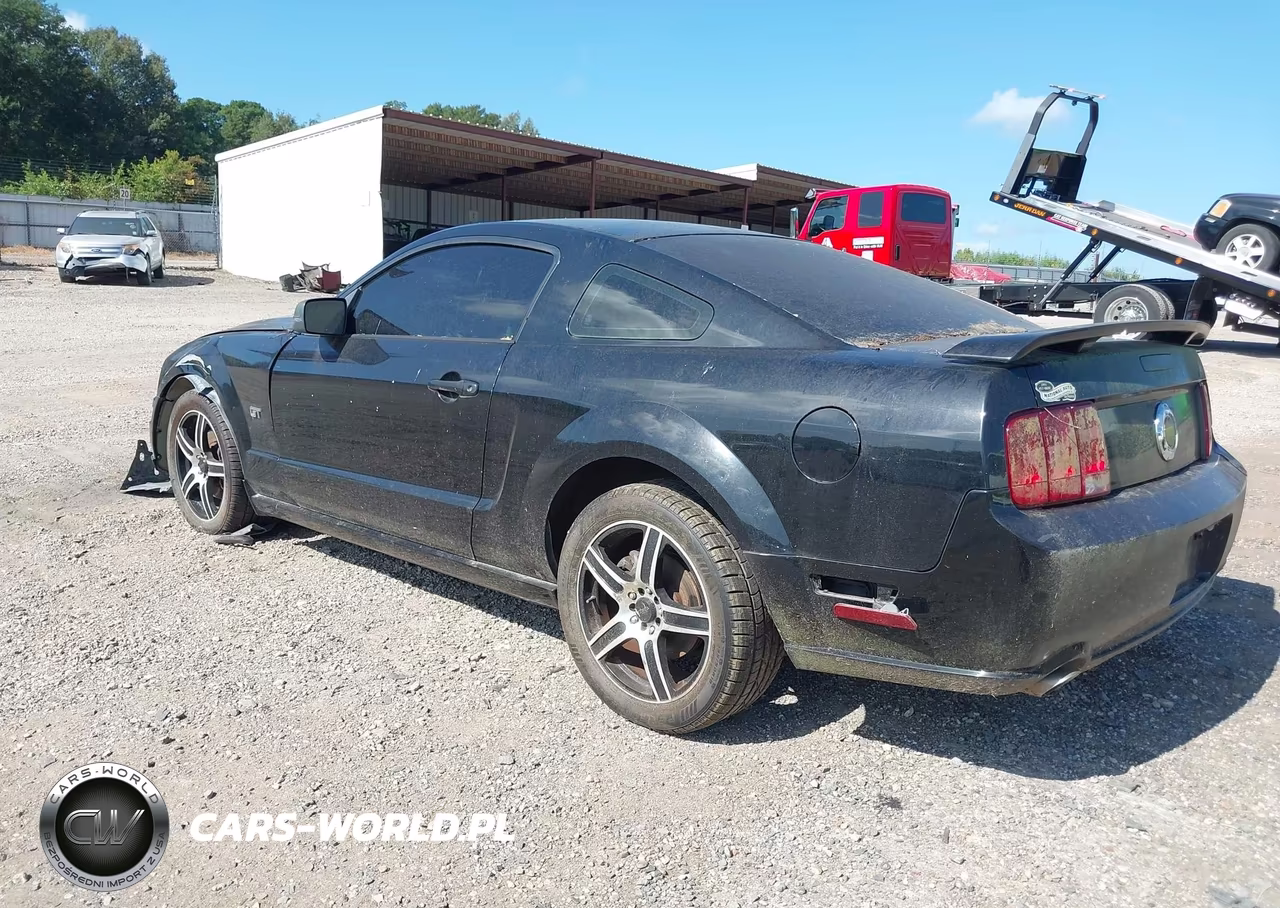 2006 Ford Mustang Gt VIN:1ZVFT82H365251607 - 3