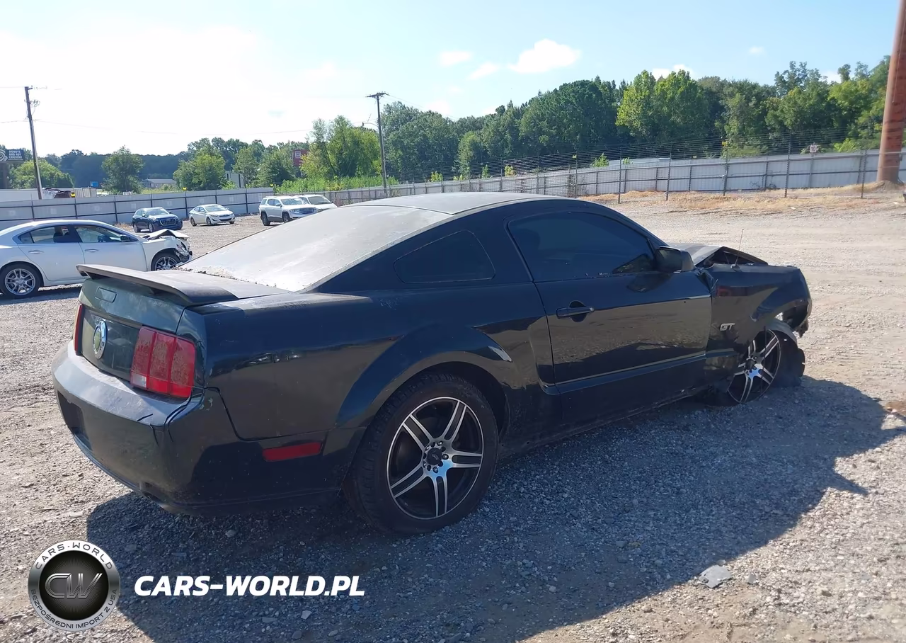 2006 Ford Mustang Gt VIN:1ZVFT82H365251607 - 4
