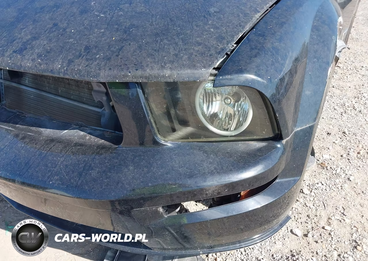 2006 Ford Mustang Gt VIN:1ZVFT82H365251607 - 6