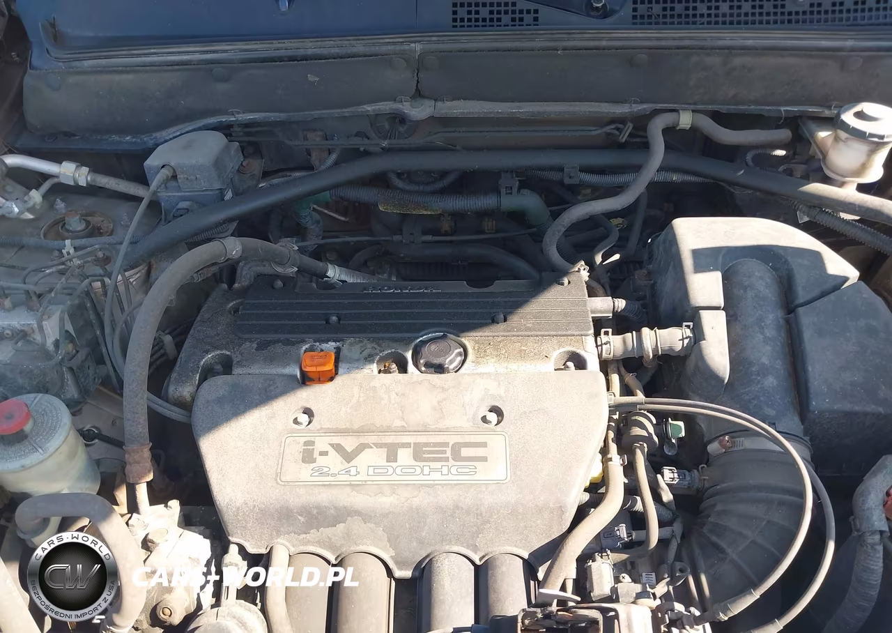 2004 Honda Cr-V Ex VIN:SHSRD78824U238303 - 10
