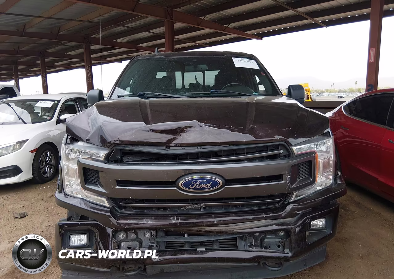 2019 Ford F-150 Xlt VIN:1FTEW1EP7KKC21120 - 12