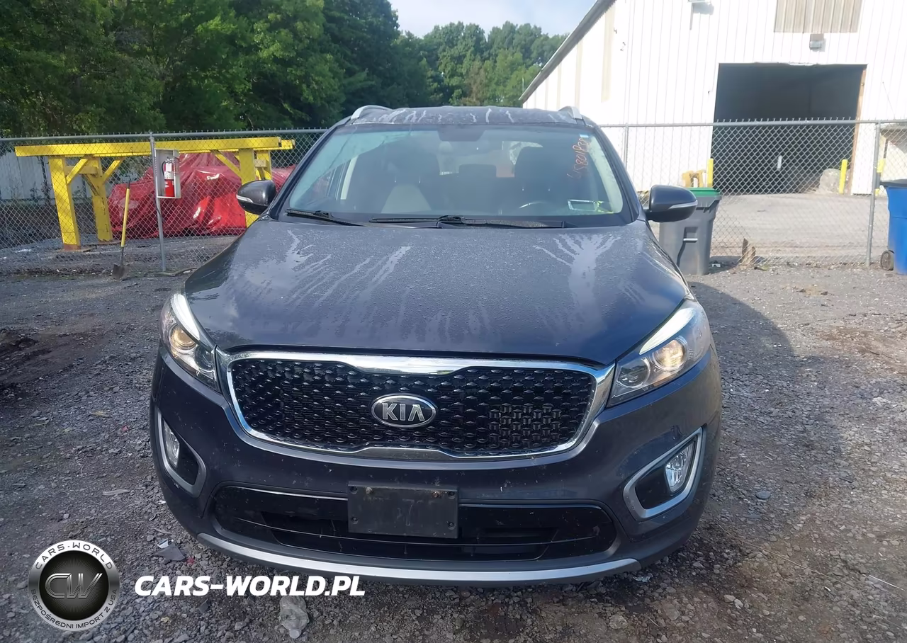 2017 Kia Sorento 2.0T Ex VIN:5XYPH4A19HG240725 - 12