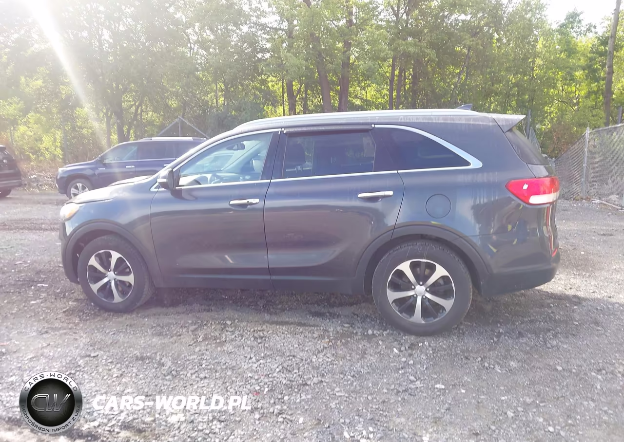 2017 Kia Sorento 2.0T Ex VIN:5XYPH4A19HG240725 - 14