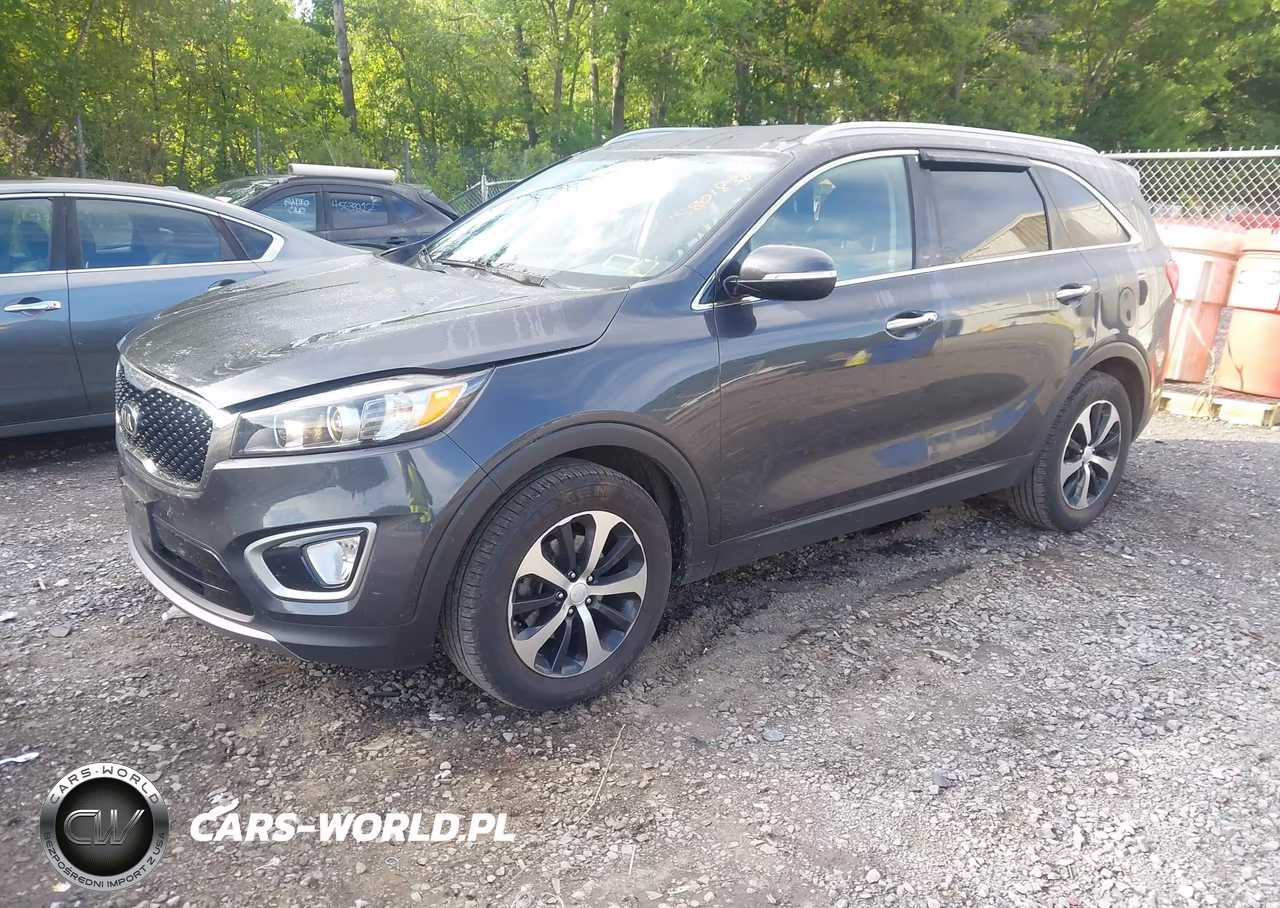 2017 Kia Sorento 2.0T Ex VIN:5XYPH4A19HG240725 - 2