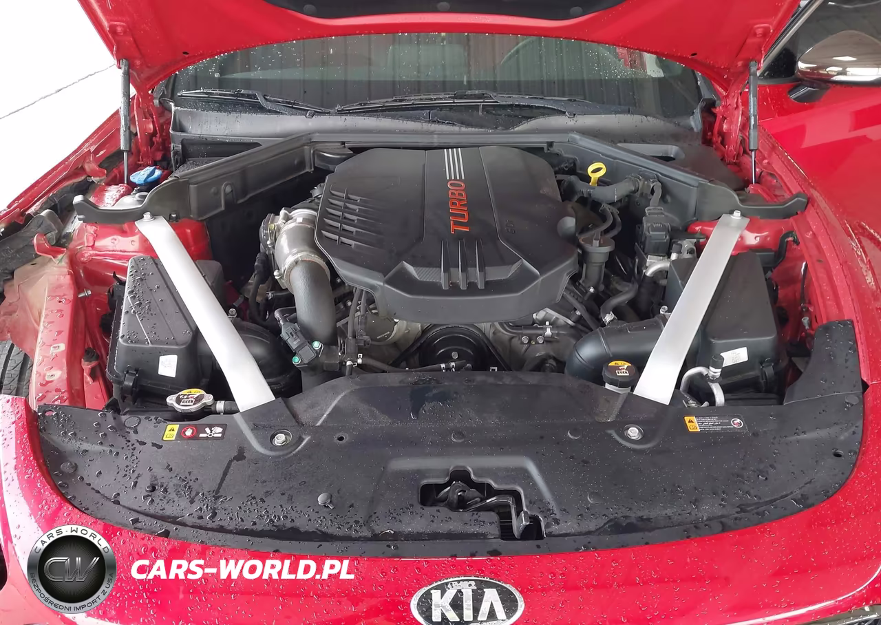 2018 Kia Stinger Gt1 VIN:KNAE45LC9J6034446 - 10