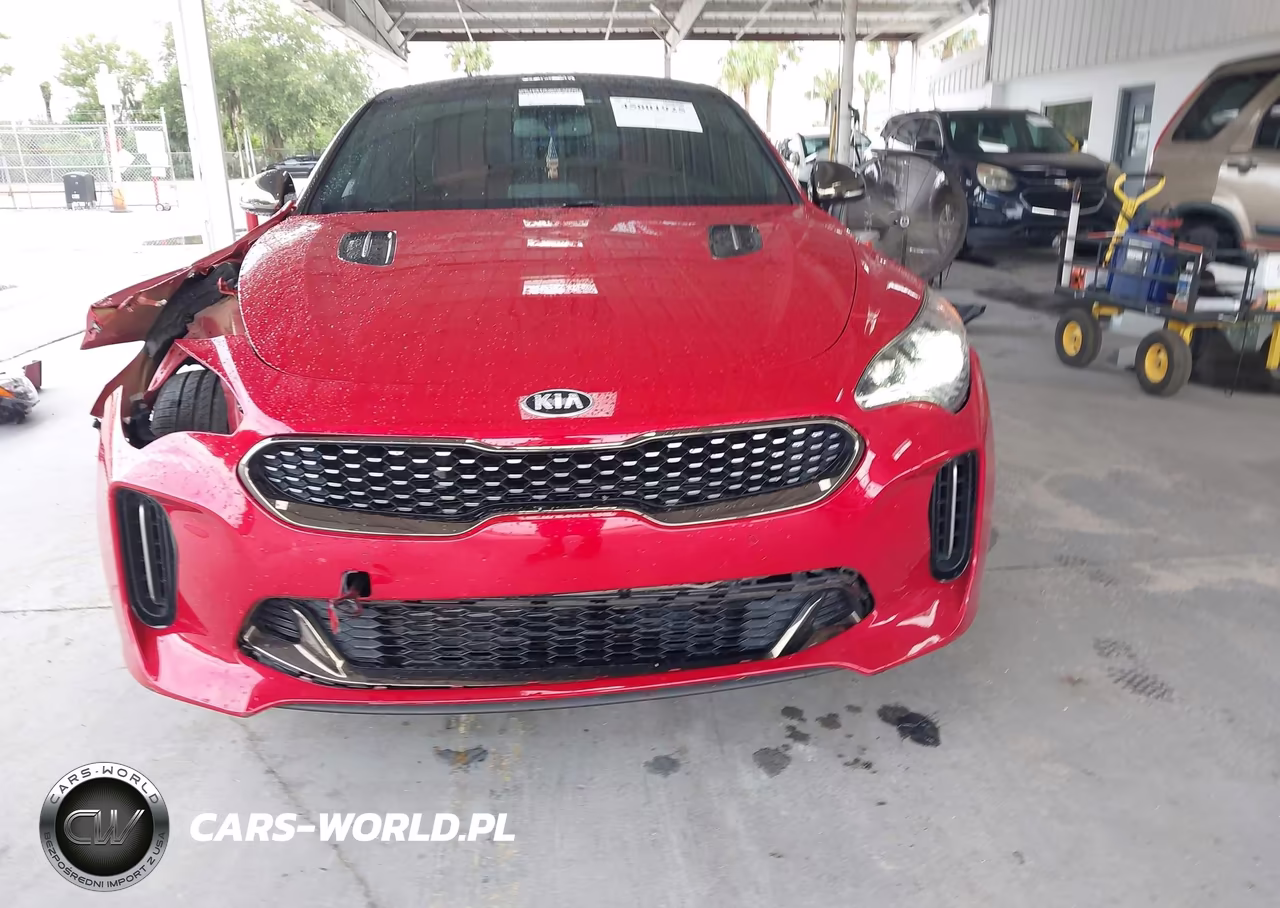 2018 Kia Stinger Gt1 VIN:KNAE45LC9J6034446 - 12