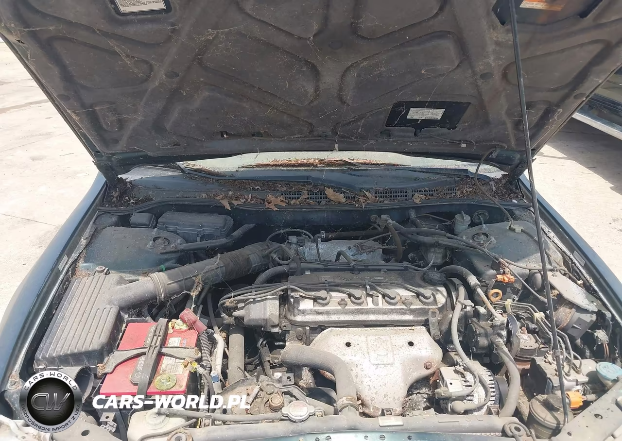 1998 Honda Accord Ex VIN:1HGCG5550WA076414 - 10