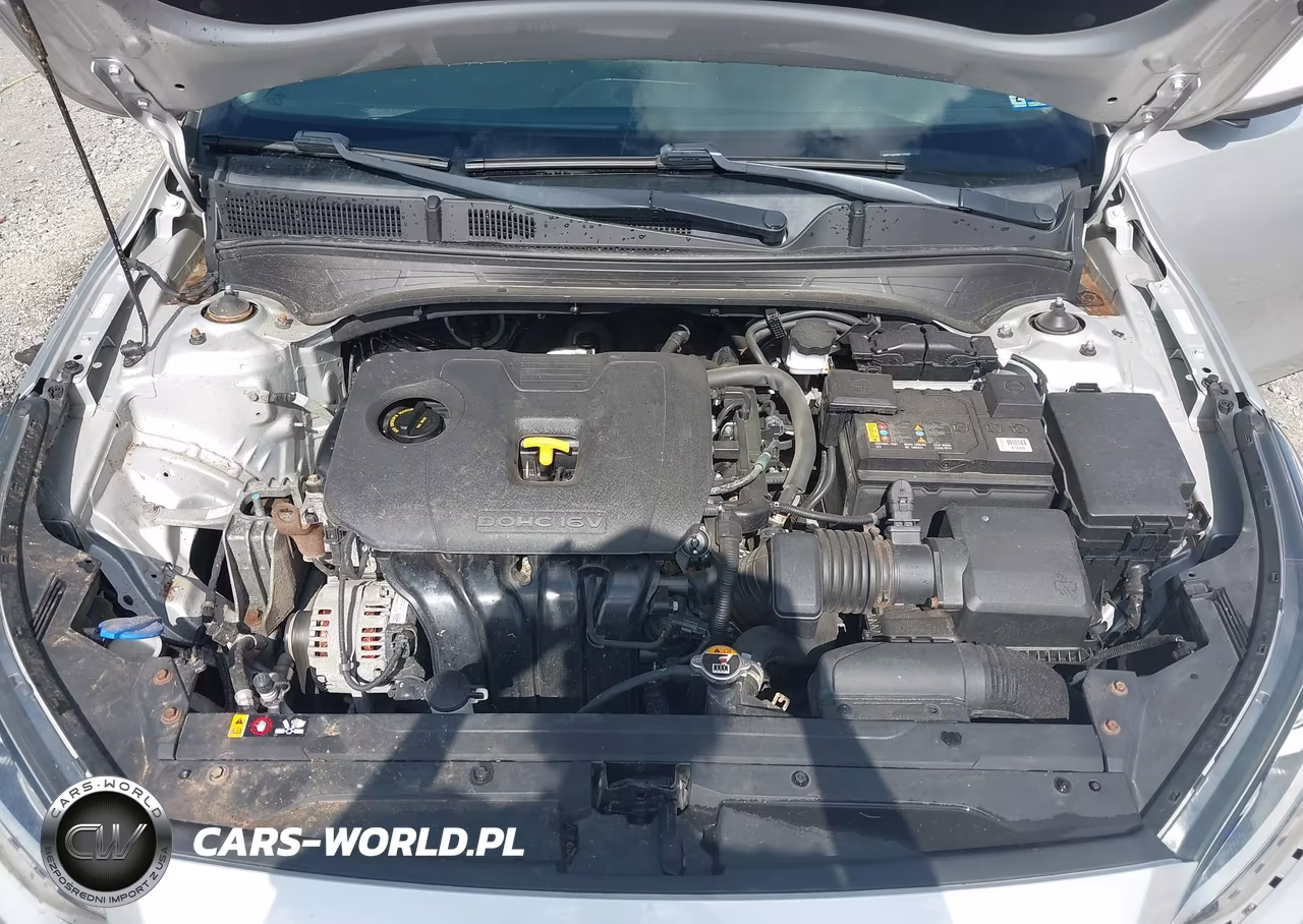2019 Kia Forte Lxs VIN:3KPF24AD0KE125331 - 10