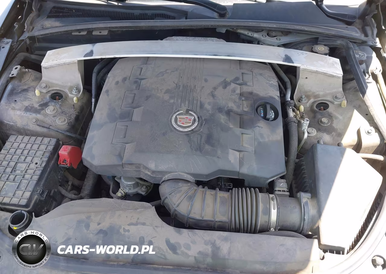 2010 Cadillac Cts Premium VIN:1G6DP5EV3A0119518 - 10