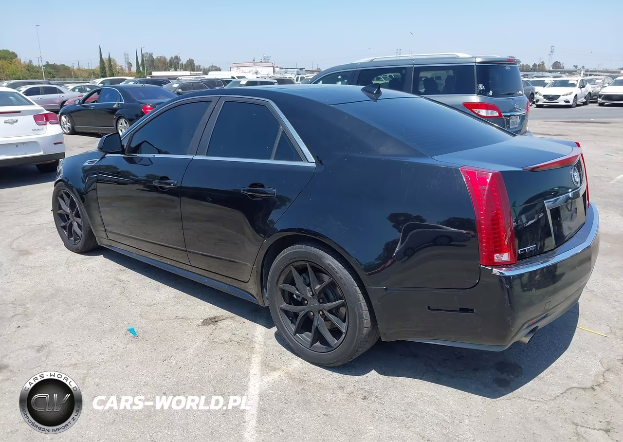 2010 Cadillac Cts Premium VIN:1G6DP5EV3A0119518 - 3